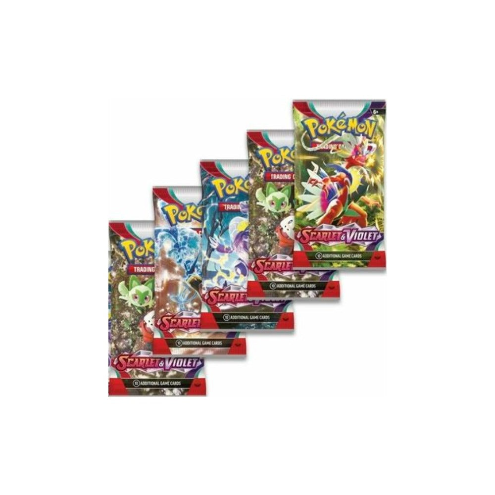 Pack de 5 sobres Escarlata y Púrpura - Inglés